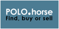 POLO.horse - Find, buy and sell your polo horse worldwide !